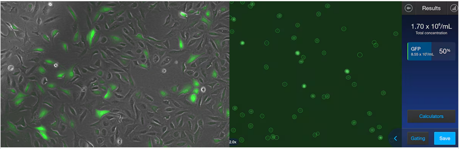 17618115641287.png 111_副本.png